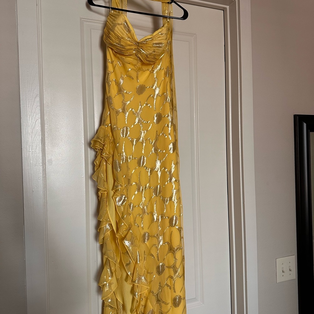 Delfi Hana Dress NWT medium - Picture 5 of 7